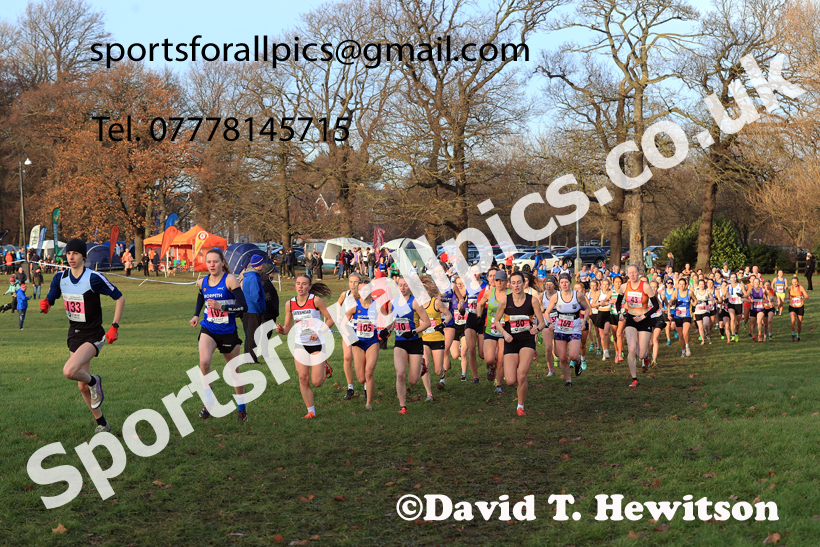 Senior Womens 2025 North Eastern Champs. Photo: David T. Hewiton/Sports for All Pics
